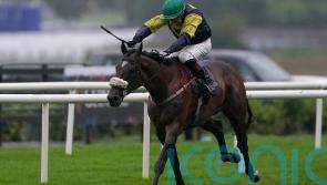 Shanroe stars in Listed Chester contest