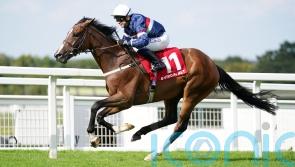 Second time lucky for Dual Identity at Sandown