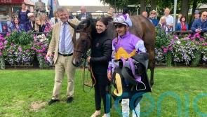 Lezoo set to represent Beckett in Haydock&rsquo;s Sprint Cup