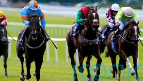 Breeders&rsquo; Cup ambition for Mansa Musa