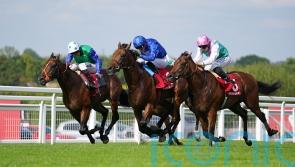 Meehan thoughts turn to Breeders&rsquo; Cup with Inishfallen