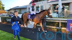 Weld harbouring hopes of another Melbourne Cup