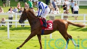 Plenty of options for Devil&rsquo;s Point after encouraging Sandown run