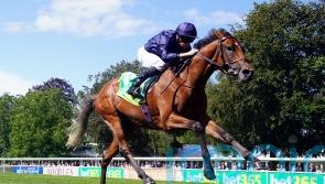 City Of Troy puts Classic credentials on line in National Stakes