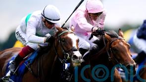 Warm Heart and Blue Rose Cen clash in mouthwatering Vermeille