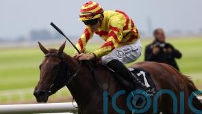 Lumiere Rock sparkles in Blandford Stakes