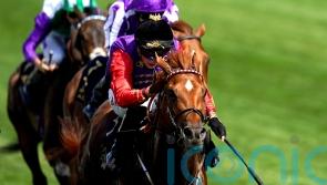 Marquand: Desert Hero ticks all the boxes for Leger challenge