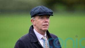 Darnation carrying hopes of another high-level victory for Burke