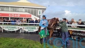 Luckinthecity gives Patrick Mullins his 800th career winner