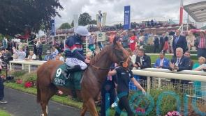 Ground key to autumn campaign for Dragon Leader