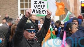 13 charged after demonstrators bring mock gallows to Leinster House protest