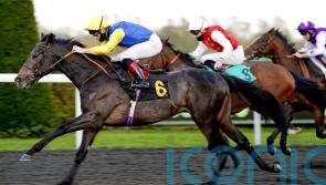 Popmaster has all the answers at Newbury