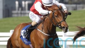 Curragh Quest for Ocean ahead of Ascot aim