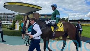 Thunder hits Newbury as Irish raider strikes