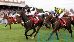 Significantly strikes Gold at Ayr
