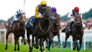 Johnson Houghton lining up Newmarket Group One team