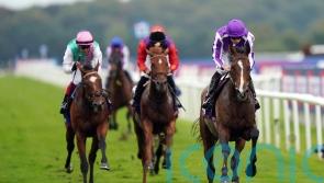 Leger hero Continuous set to be added to Arc field