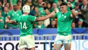 Ireland hooker Dan Sheehan in &lsquo;perfect&rsquo; condition for rest of World Cup