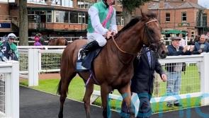 Rossa Ryan hoping Task Force can complete Group One mission