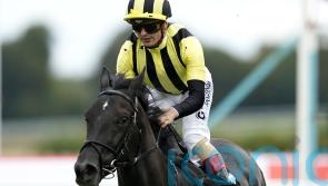 No grounds for concern at Newmarket with Vandeek