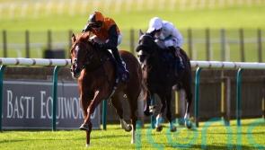 Carla&rsquo;s Way rocks at Newmarket to line up Breeders&rsquo; Cup bid