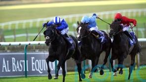 No place quite like Newmarket for Mutasaabeq