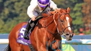 Suitable ground could see Onesto line up on Champions Day