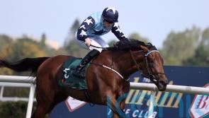 Kitty Rose could be derailed by Curragh ground conditions