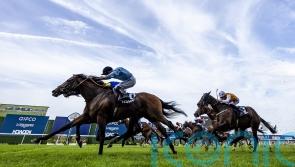 Atrium raises the roof for Fellowes in the Challenge Cup