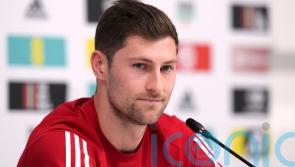 Captain Ben Davies hopes to bring a bit of Tottenham to Wales camp
