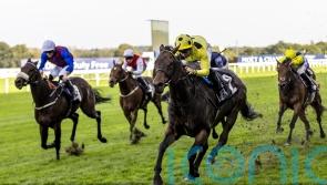 Emaraaty Ana may have booked Breeders&rsquo; ticket with Ascot win