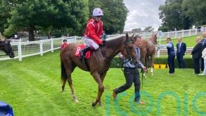 Shuwari heads eight-strong Fillies&rsquo; Mile field