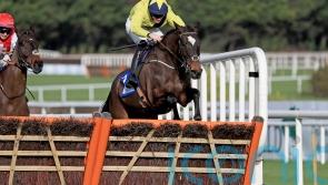 Tendon injury sidelines Good Land for the season