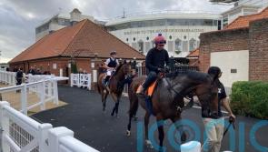 Haggas duo tune up for possible Champion Stakes assignments