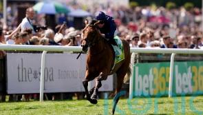 Troy aiming to conquer Dewhurst rivals