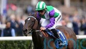Fellowes enthused by likely Ascot going for Vadream