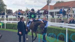 Inquisitively Cup call yet to be made