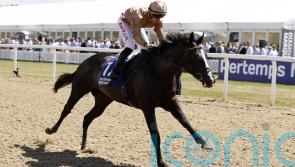 Sense primed for Champions Day duty