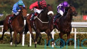 Mutasarref keeps up the good work for Lyons in Leopardstown feature