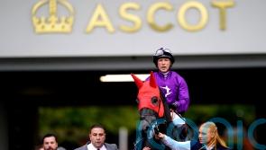 King Of Steel team taking watching brief on Santa Anita challenge