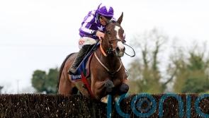 Gevrey seals profitable global weekend for Elliott yard