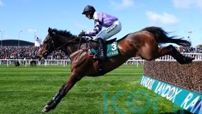 Paddy Power favourite Stage Star firmly on course for Cheltenham