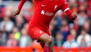 Cody Gakpo in line for return to Liverpool line-up against Toulouse