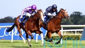 Diego Velazquez highlights eight contenders for Futurity Trophy