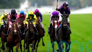 Champion Stakes hero King Of Steel all set to take on America