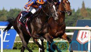 Auguste Rodin and Paddington primed for action in California