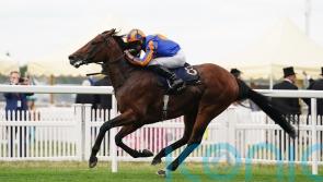 Paddington retired after setback rules out trip to Santa Anita