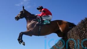 Ahoy Senor and Bravemansgame in good shape for Wetherby showdown