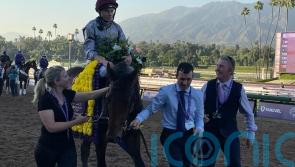 No doubts about Unquestionable in Juvenile Turf