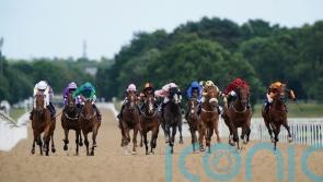 November Handicap switched to Newcastle